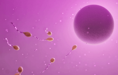 냉동난자 사용 보조생식술 지원금