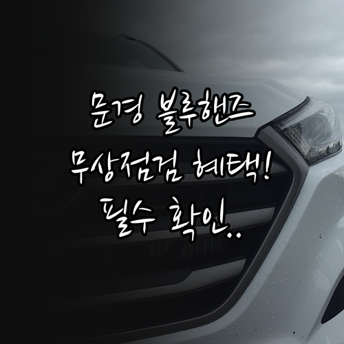 문경시 현대자동차 블루핸즈 이용 방법..