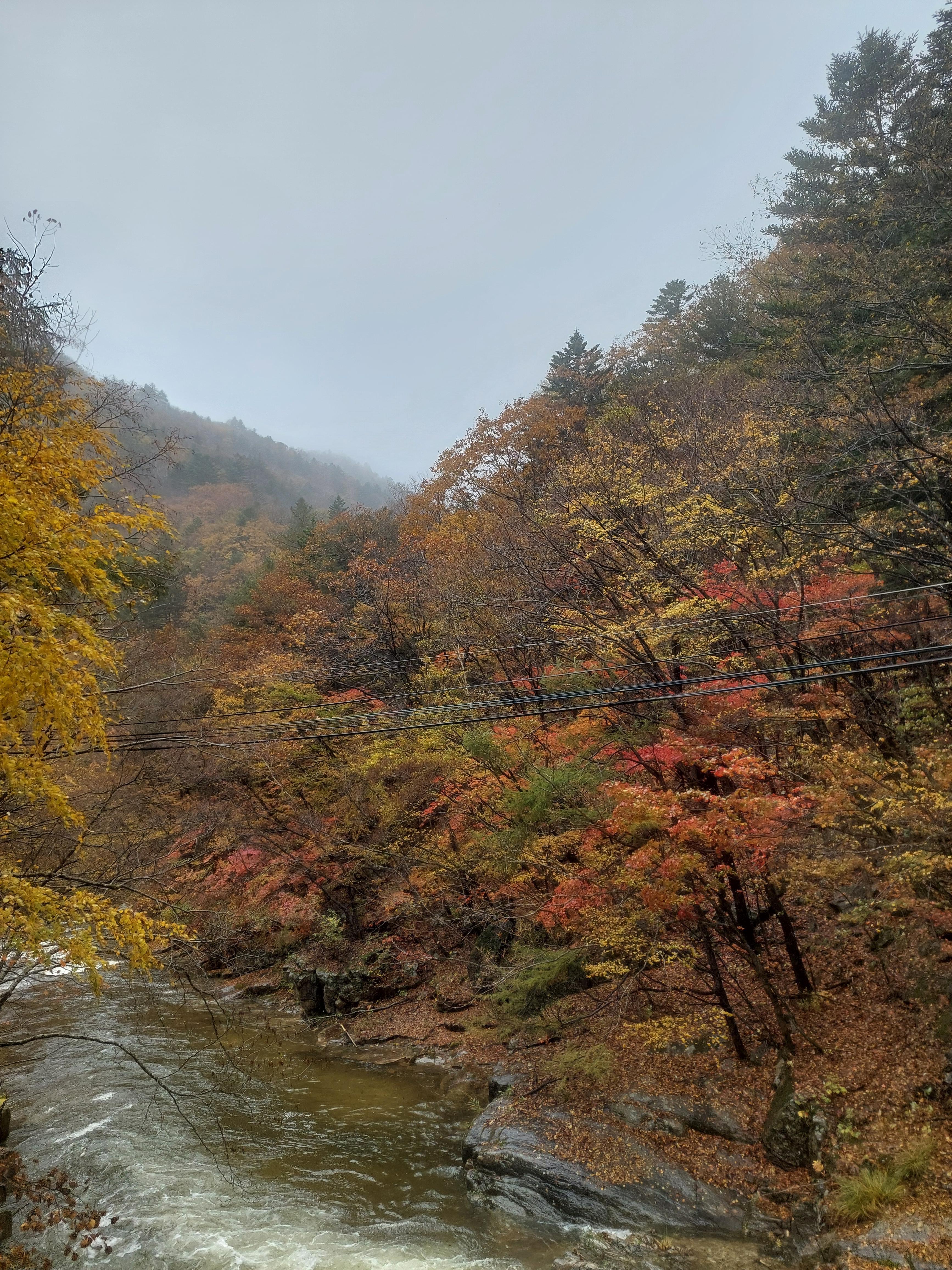 선재길