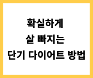 확실하게 살 빠지는 단기 다이어트 방법