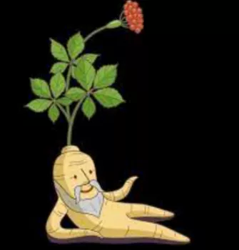 인삼