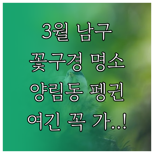 광주 남구 3월 꽃구경 명소와 양림동..