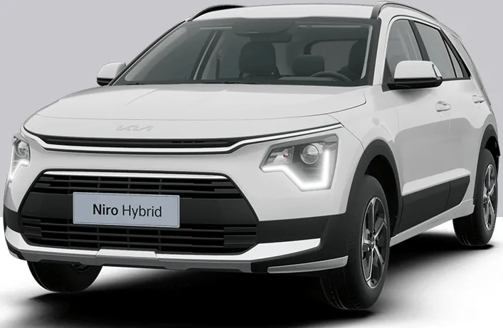 스노우 화이트 펄