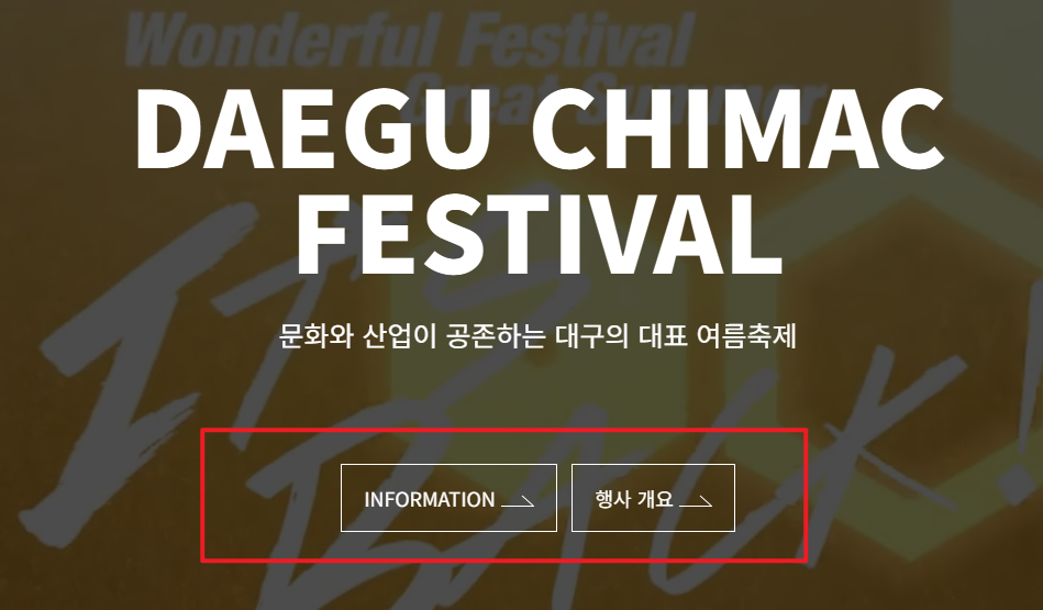 대구 치맥페스티벌