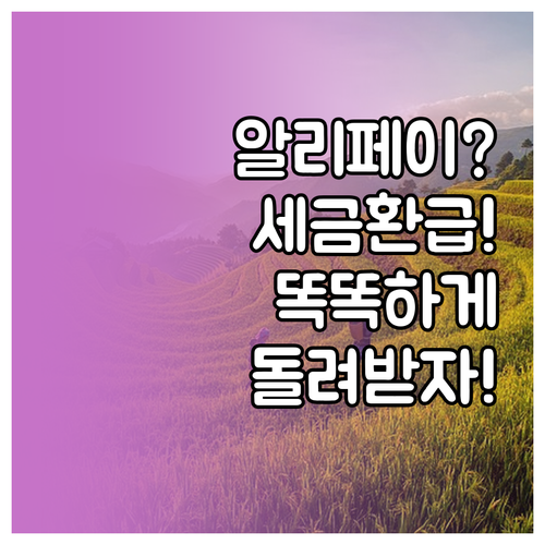 중국 여행자 필수, 알리페이로 똑똑하..