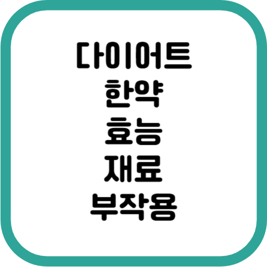 다이어트 한약 썸네일