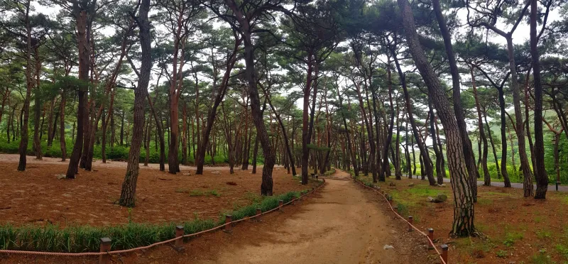 청도 복호산