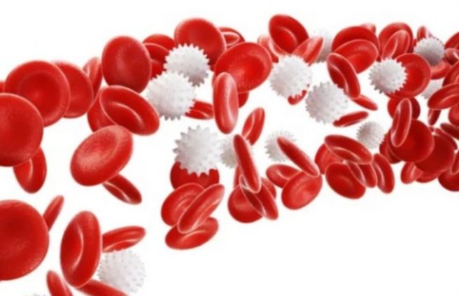 백혈구 정상 수치