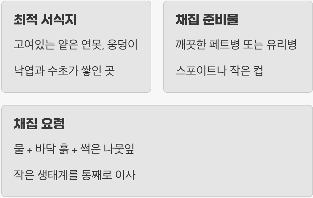 작은 우주를 담아올 최적의 장소