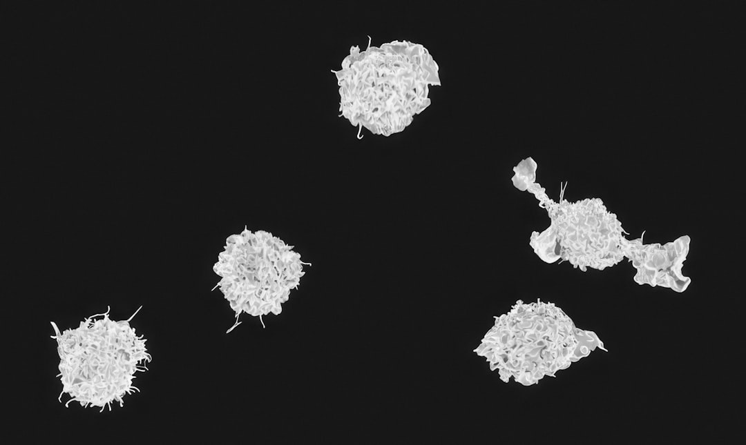 White blood cells