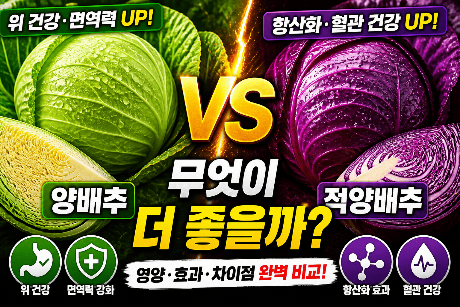 양배추 vs 적양배추 (영양, 종류, 차이)