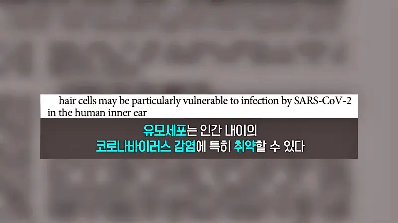 KBS 생로병사의 비밀 837회 난청도 재활이 필요, 돌발성 난청, 중이염, 이명 사례 보청기 인공와우 수술 진료 관련 오늘방송 다시보기 정보