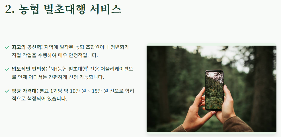 벌초대행 가격