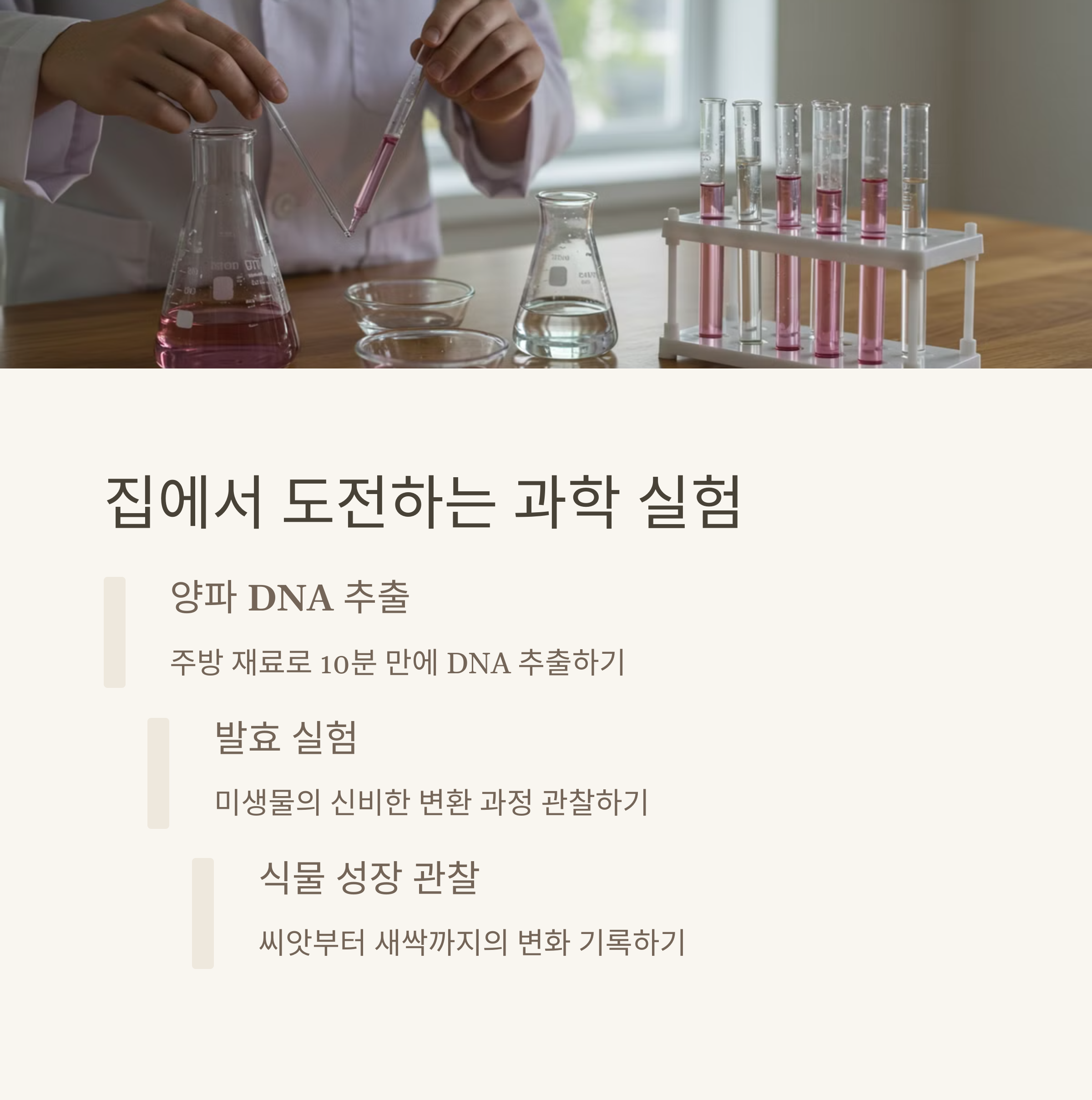 집에서 해볼 수 있는 간단 실험