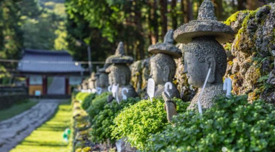 제주 관음사 템플스테이 ❘ 가격, 예약방법, 후기, 위치