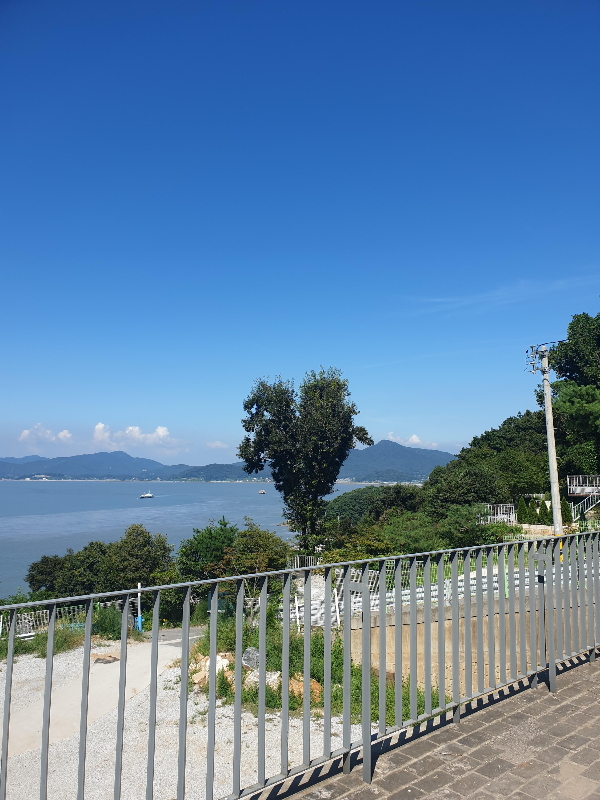 강화도 카페 트라몬토: 바다뷰 + 족욕 = 힐링 공식 완성_하트 나무