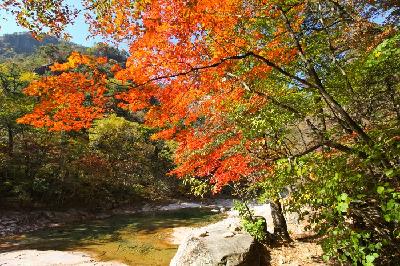 설악산단풍-4 