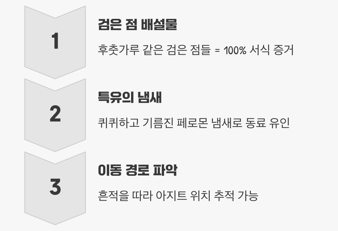 결정적인 단서, '검은 점'의 흔적