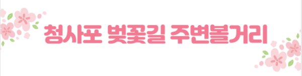 봄꽃 여행지