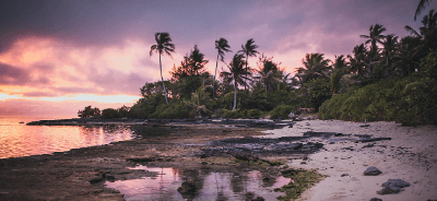 파라다이스 영화 촬영지 타히티 티아레의 사진
