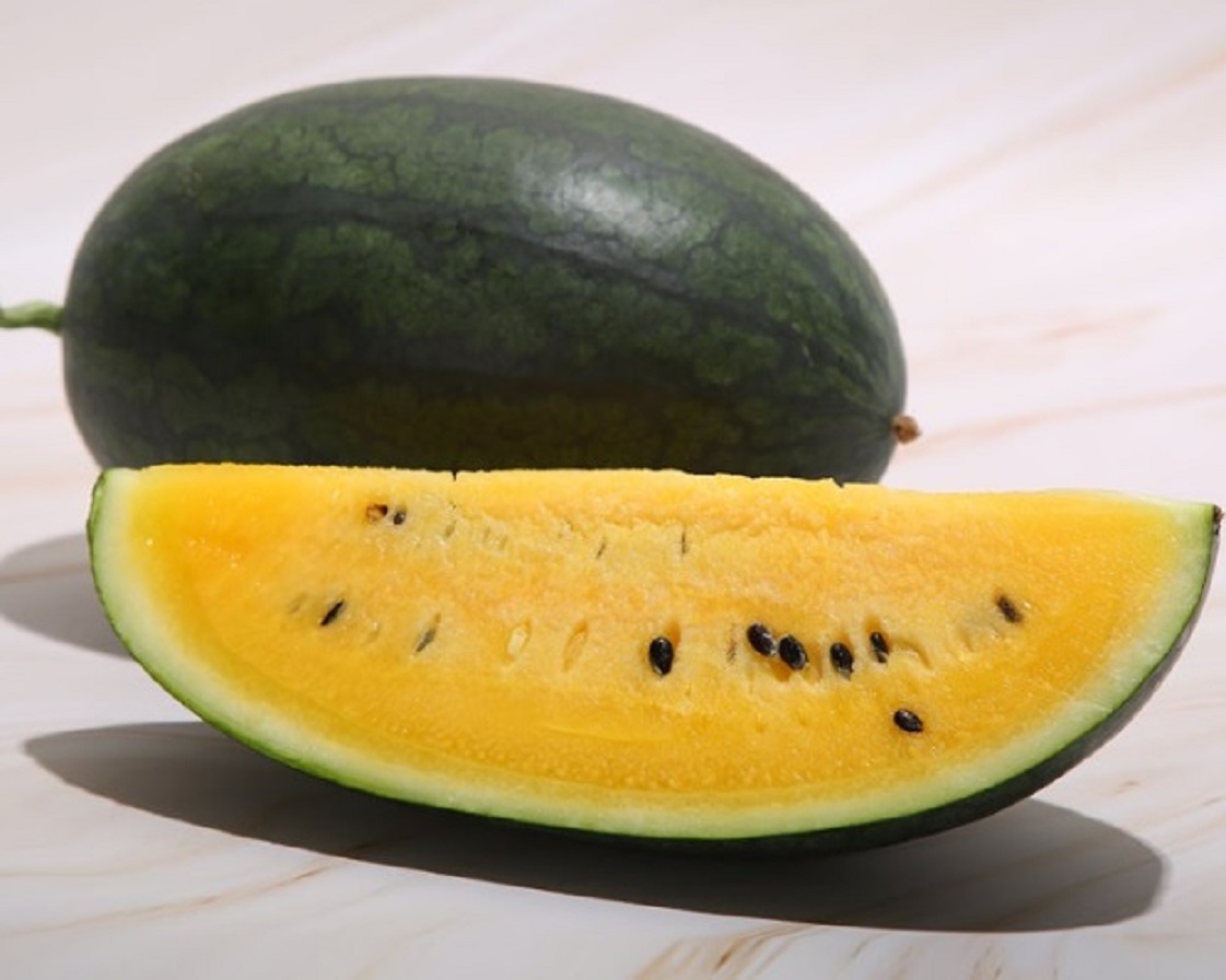 고창-블랙망고수박-노란수박-아어가지농장