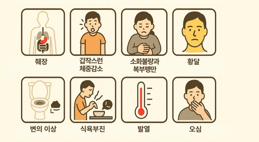 췌장암 초기증상