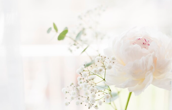 울산 봄꽃 축제 일정 &amp; 벚꽃 명소 개화시기 &amp; 교통편 팁