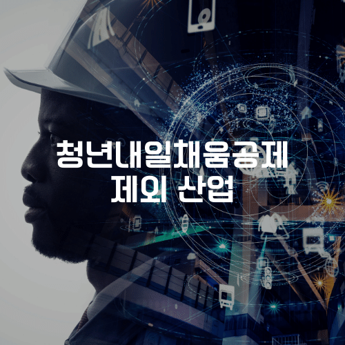 청년내일채움공제 제외 산업