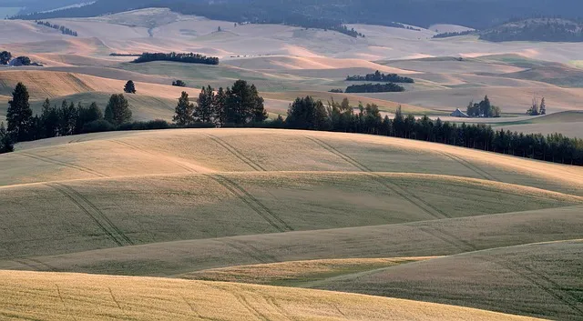 북서향 창문 식물 선택 저광량관리 물주기 식물등 세팅 가이드_5