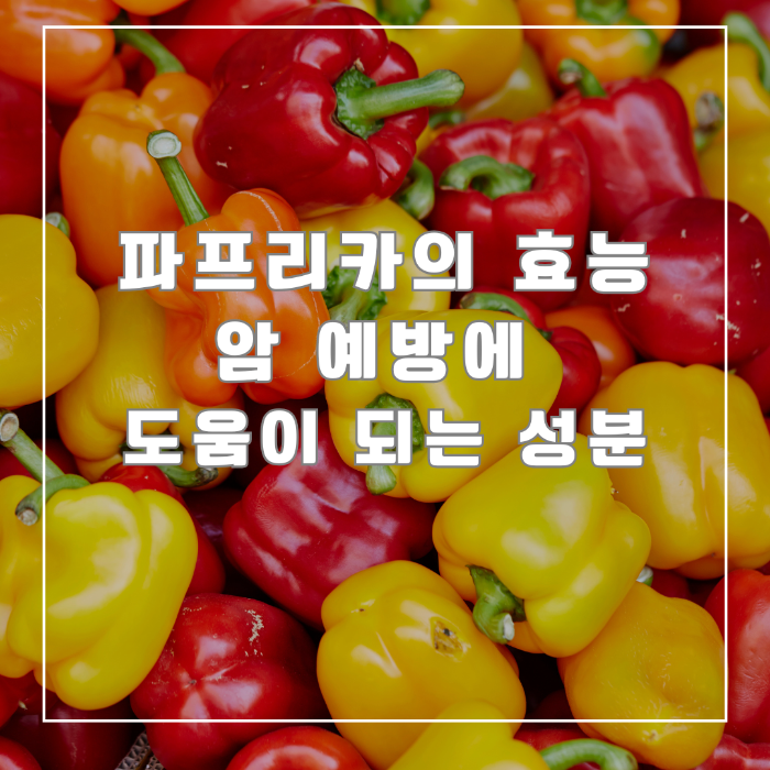파프리카의 효능