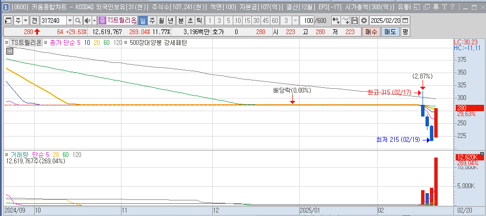 2월 20일 상한가 종목 TS트릴리온 일봉 차트