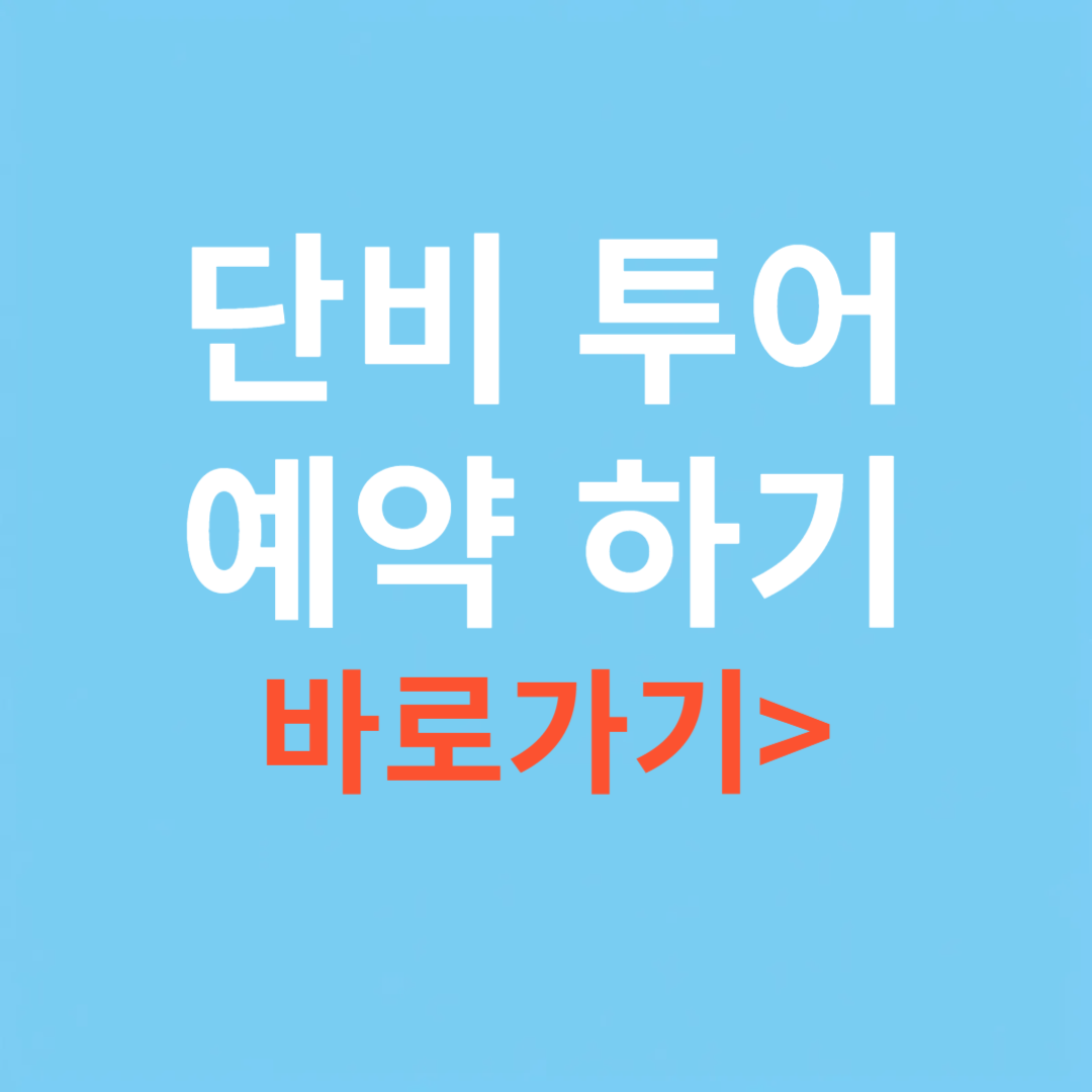단비 투어 예약하기