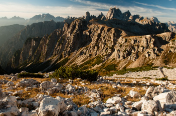 검버섯 없애는 방법 완벽 정리 9