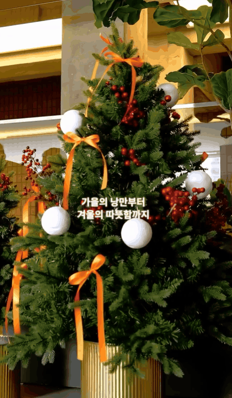 크리스마스 분위기 좋은 예쁜 카페 Best 5