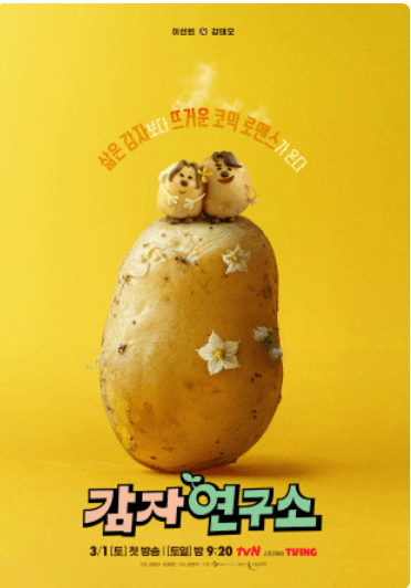  tvN 드라마 