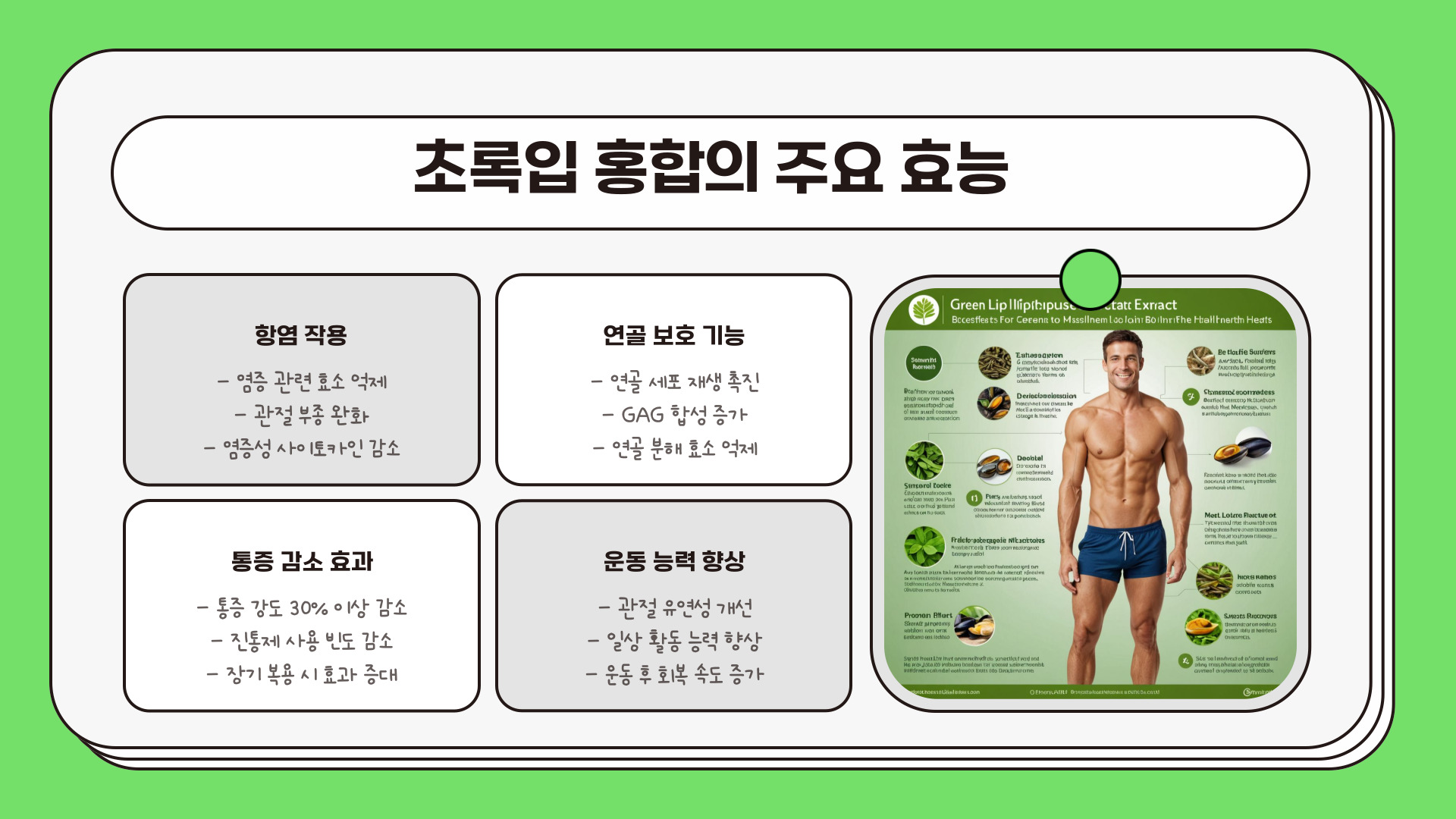 관절약 초록입 홍합