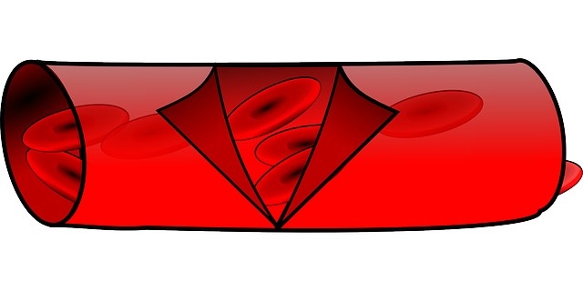 혈관 관련 일러스트