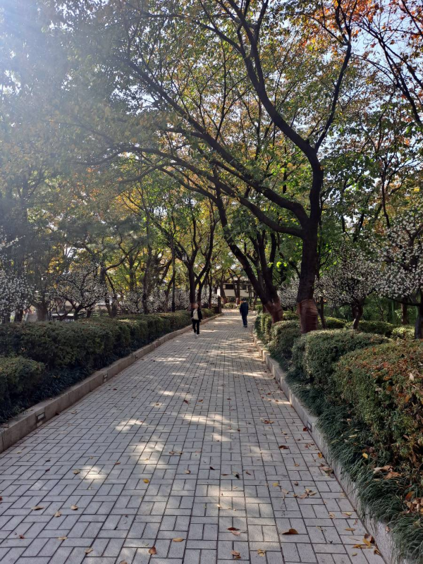 화도진 산책길