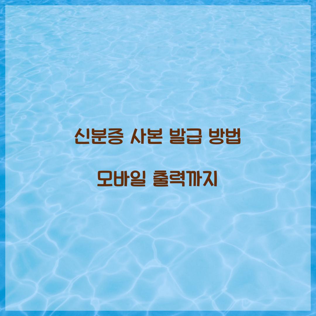 신분증 사본 발급
