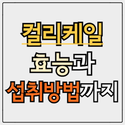 컬리케일 효능 정리! 지금 먹어야 하는 이유