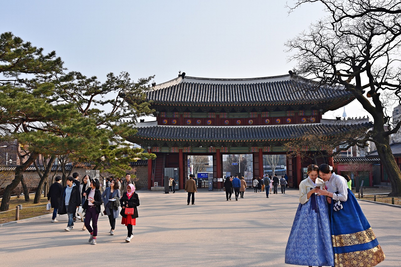 창경궁 야간개장