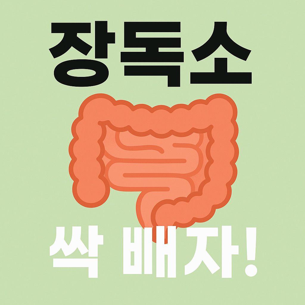 장독소 원인과 증상, 그리고 제거 방법까지 완벽 정리