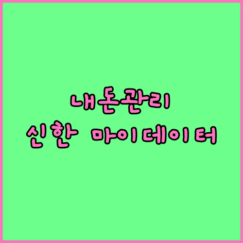 신한 마이데이터 통합 자산 관리 소비