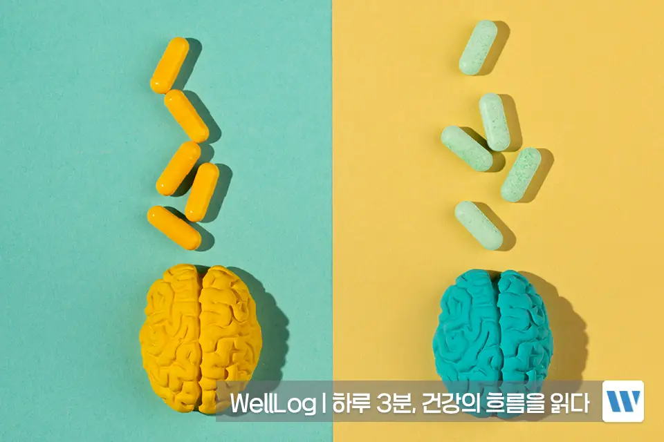 포스파티딜세린 추천 영양제