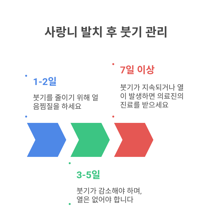 사랑니 발치 후 붓기, 왜 오래갈까?