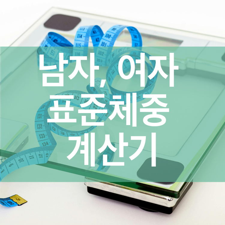 표준체중계산기 내 키에 맞는 적정 체중은 몇 kg일까?