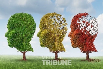 해마라고 불리는 뇌의 부위