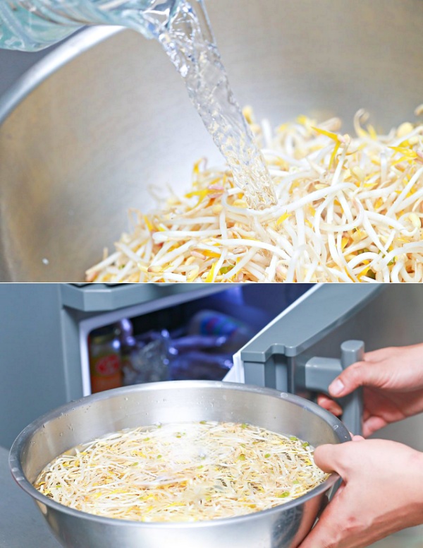 콩나물 보관기간&#44; 콩나물 보관법&#44;