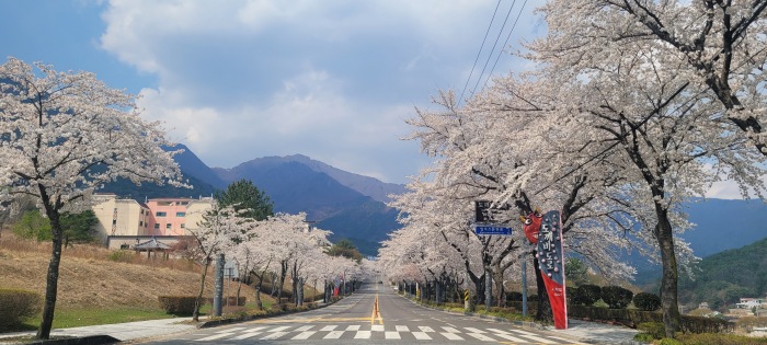 울산 도깨비도로 시작점