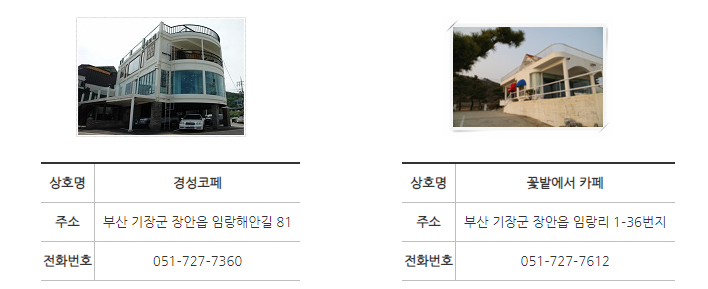 임랑해수욕장 차박 캠핑 카페 맛집 13
